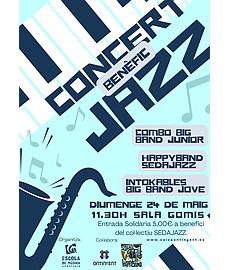 CONCERT BENÈFIC INTOKABLES BIG BAND